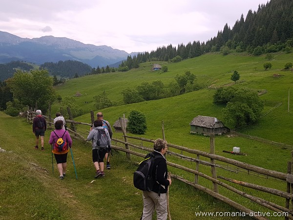 Walk Piatra Craiului Bucegi walkers 600